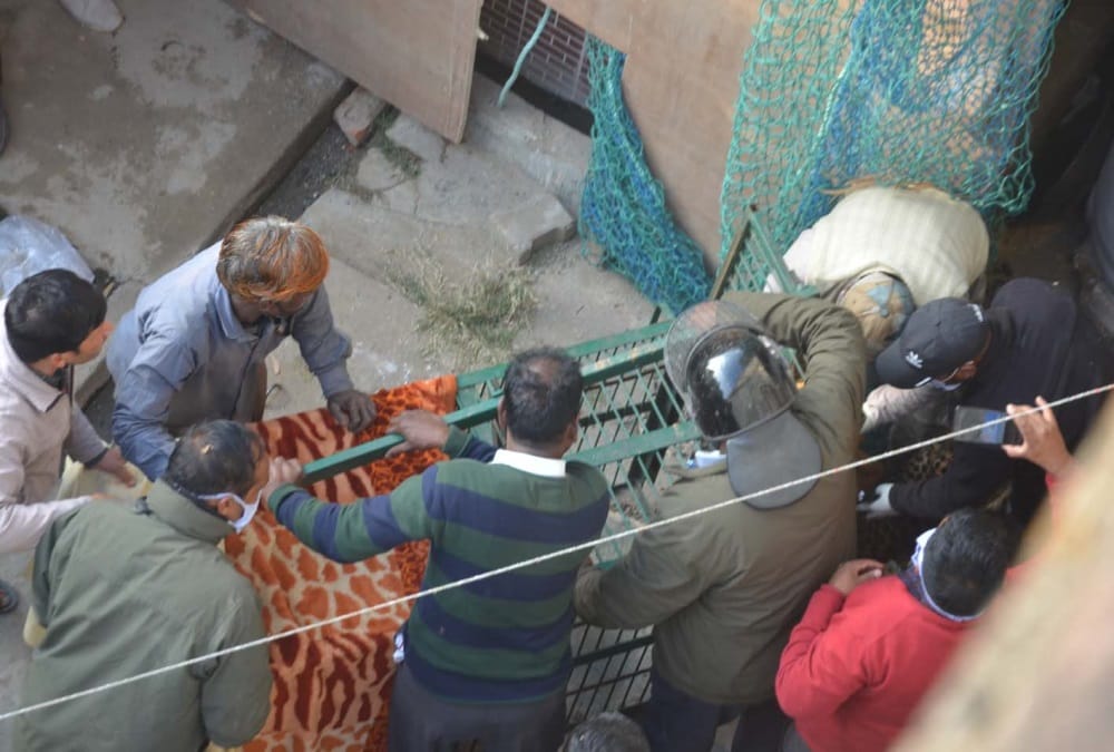 Haridwar News: Public Crowd To See Leopard Hide in Ashram Store Room Photos