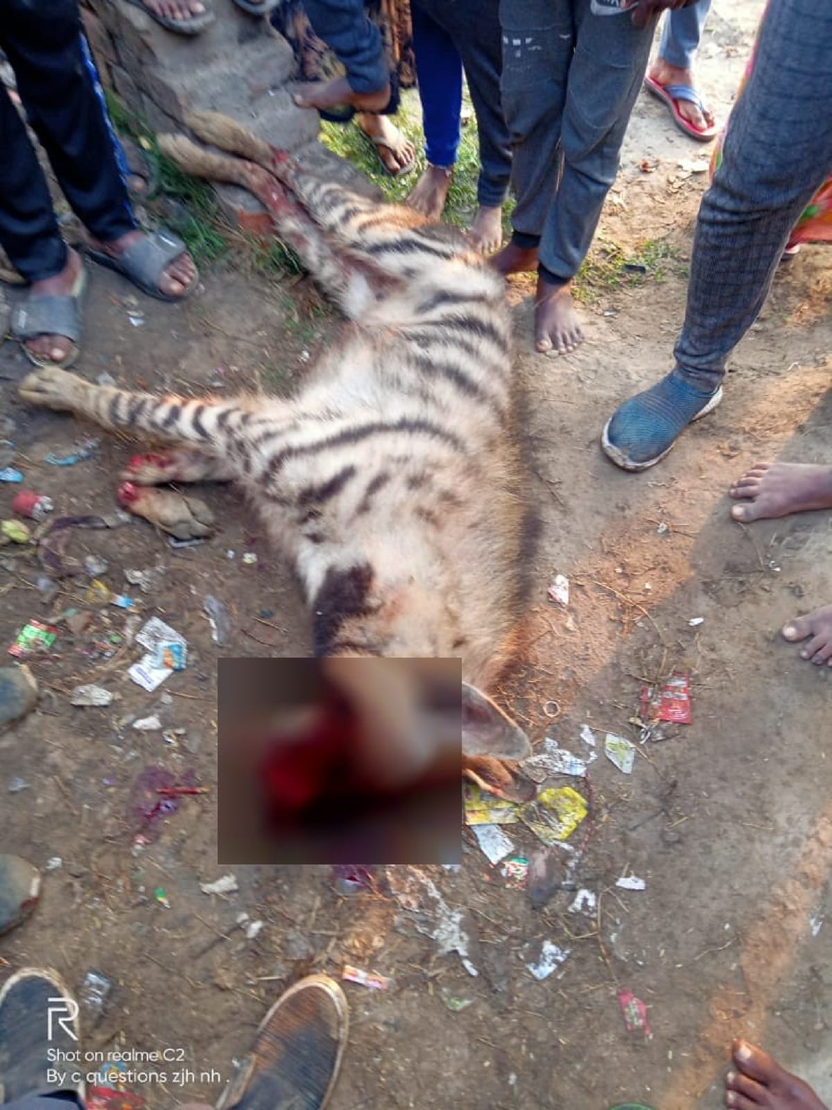 young man sleeping on the farm was attacked by hyena villagers killed him with sticks in mirzapur