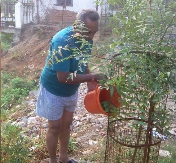 meet dhamtari si shatrughan pandey who planted approx 2 lakh plant in chhattisgarh