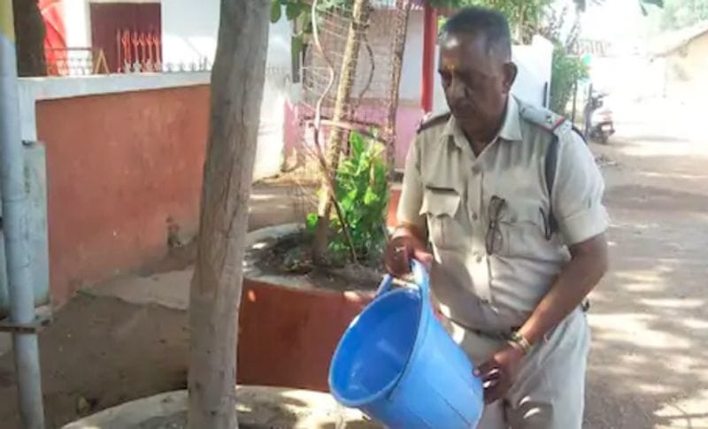 meet dhamtari si shatrughan pandey who planted approx 2 lakh plant in chhattisgarh