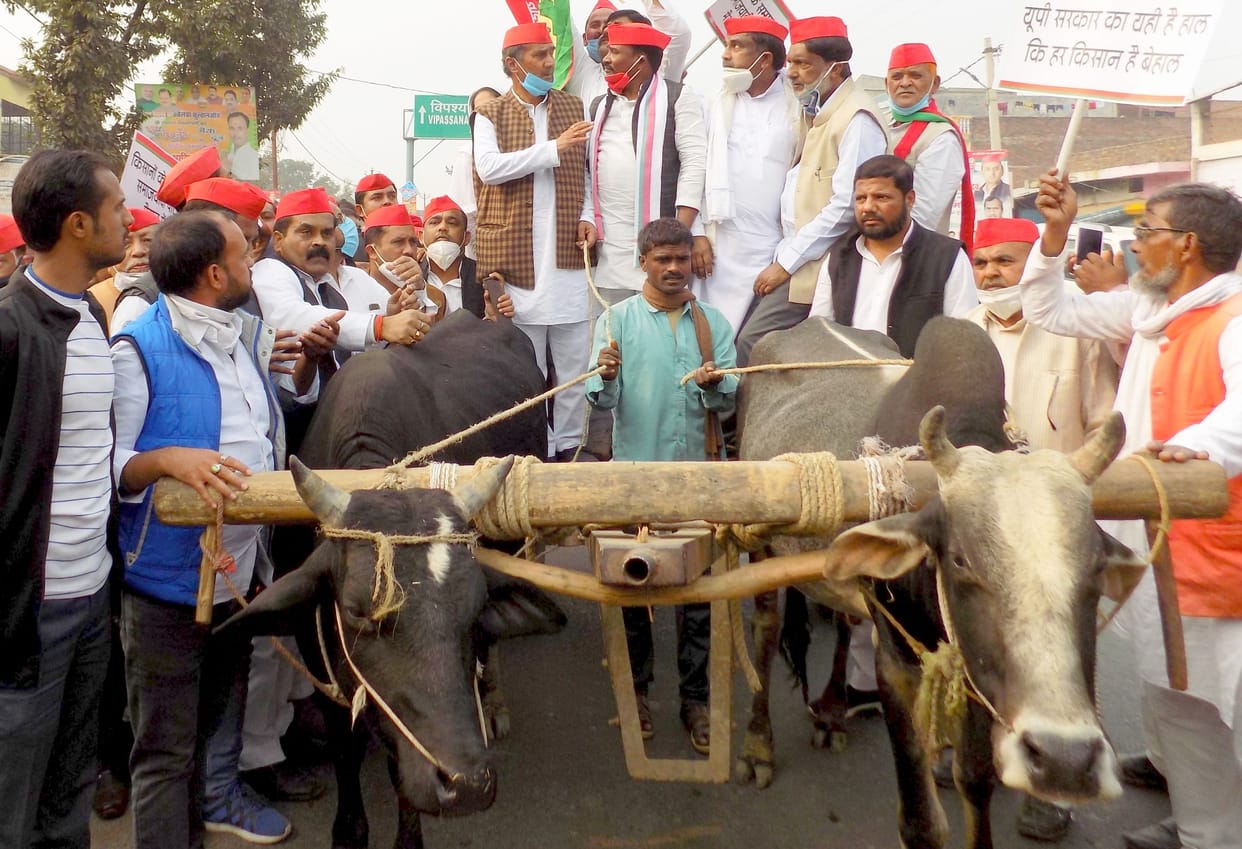 SP workers took out peasants' journey on bullock cart