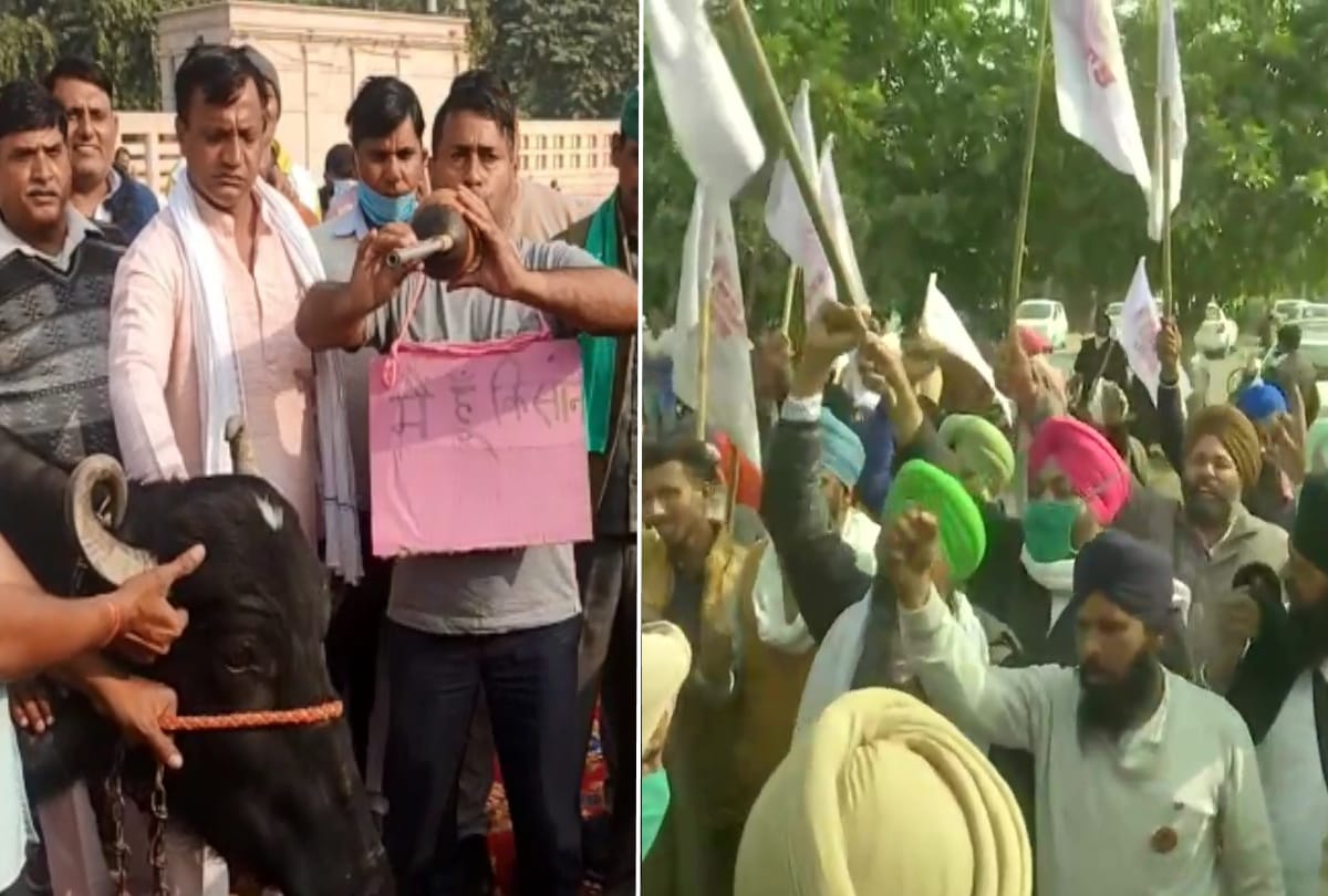 Farmers protest continues at borders many supporters stands for Bharat Bandh on Dec 8