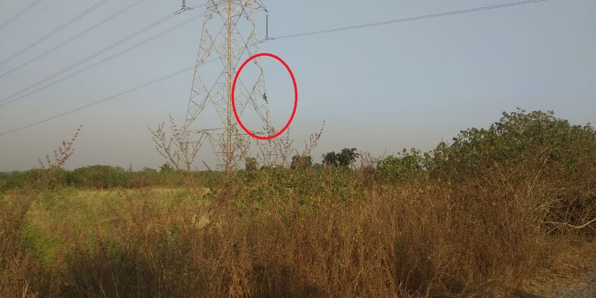 Man climbe tower landed after administration had convince for his demand in sonbhadra up