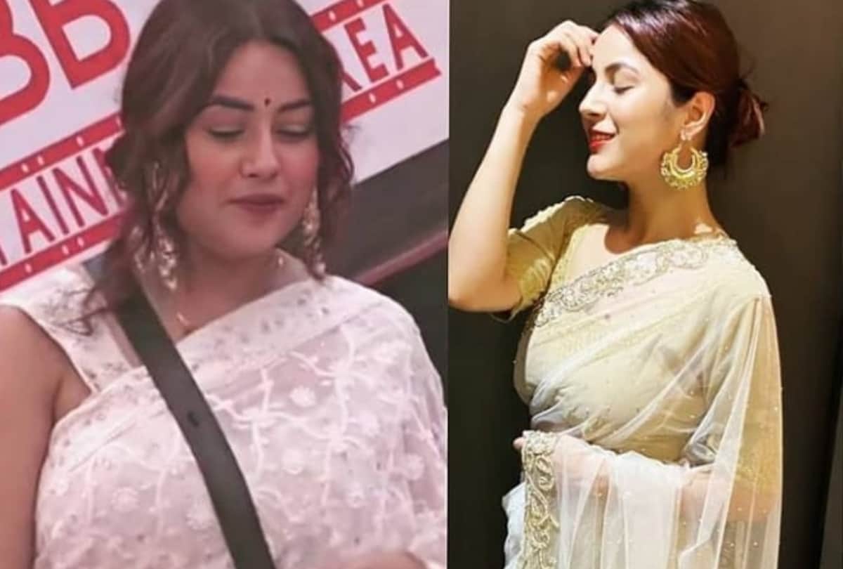 shehnaz gill look stunning in white and gold border saree photos goes viral