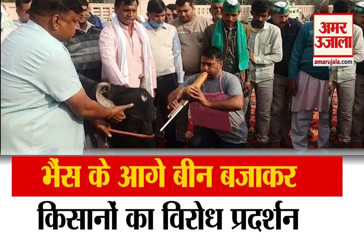 वीडियो