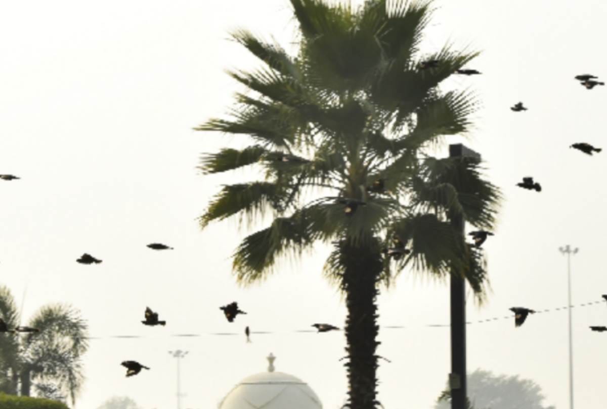the temperature reached at 28 degrees in december after eight years