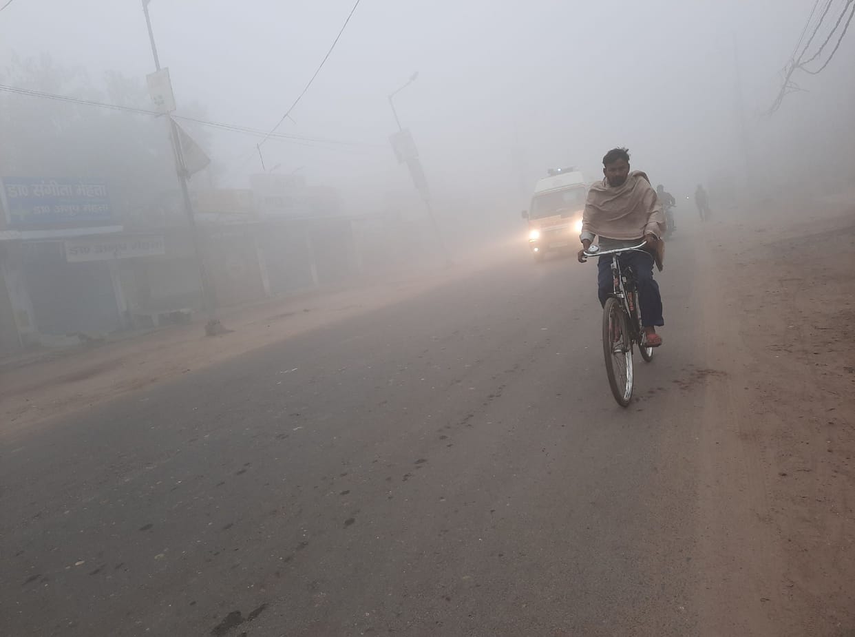 Terai covered the cover of fog