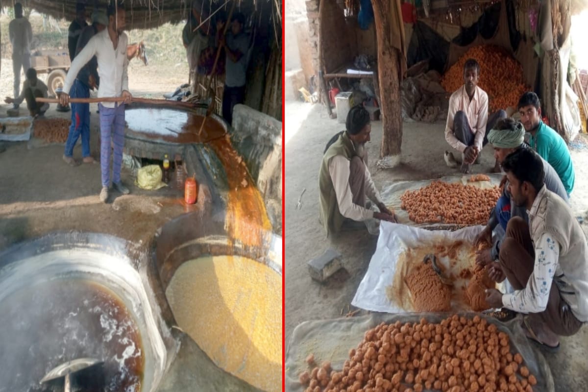 Bijnor Farmers associated with organic farming, cost reduced, income increased