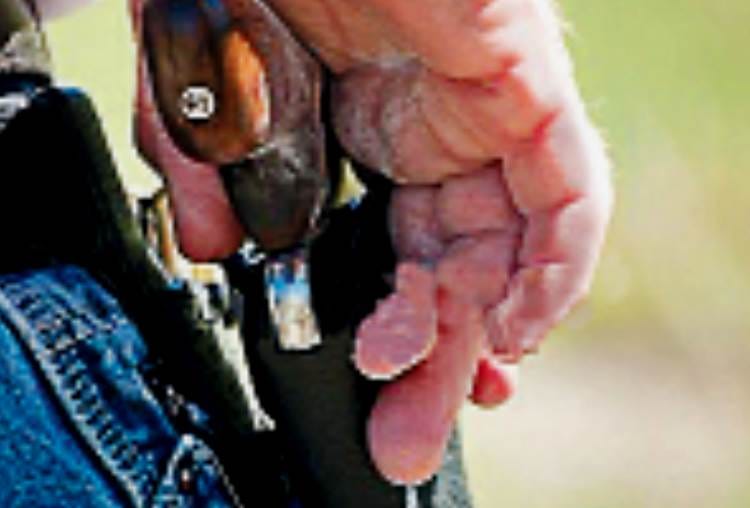 it would be illegal to have more than two arms on the same license after 13th December