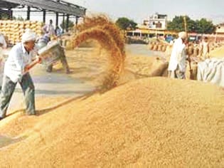 Paddy purchase: salary will not be received on the day of purchase, not on that day