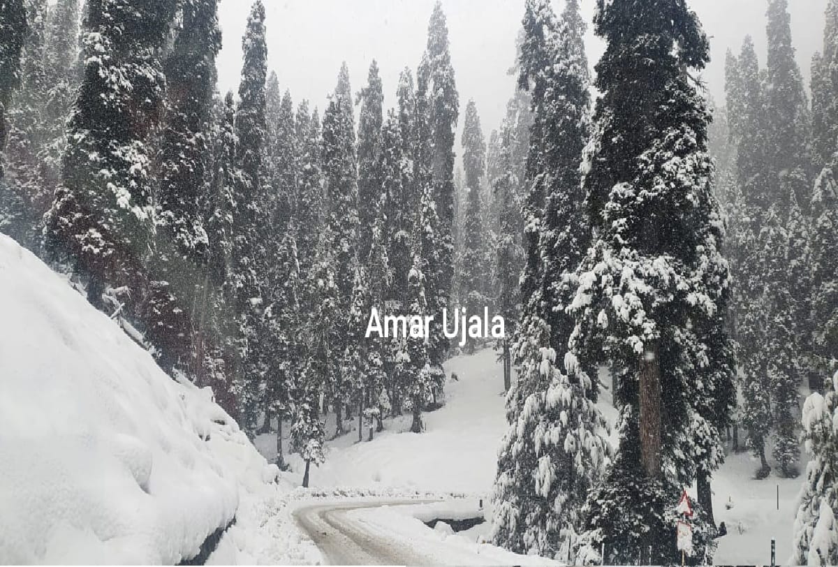 Srinagar Weather news Snowfall Started in Gulmarg Srinagar Leh Highway closed due to accumulation of snow