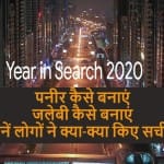 Google 2020 year in search