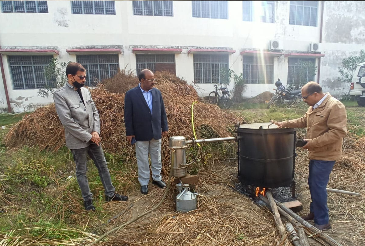 Plant medicinal plants with crops, increase income