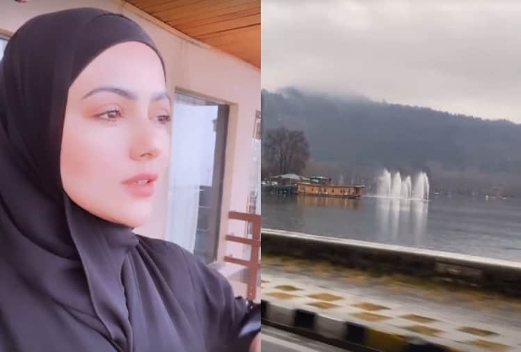Niharika konidela marriage and dia mirza birthday here top 5 news
