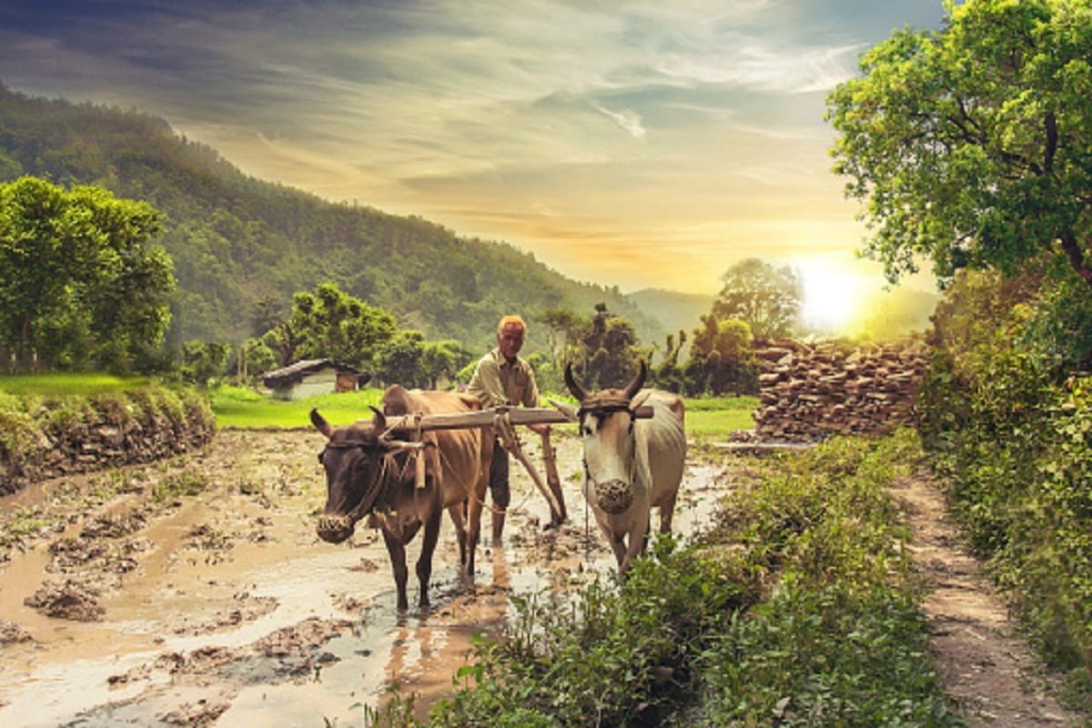 आंकड़ों से जानिए किस हाल में हैं देश के किसान