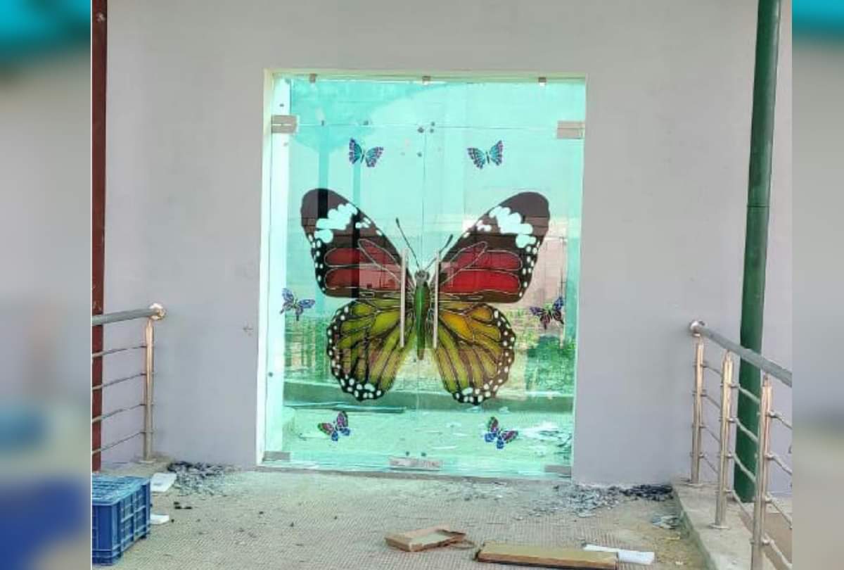 UP State first indoor park ready for butterflies in Gorakhpur
