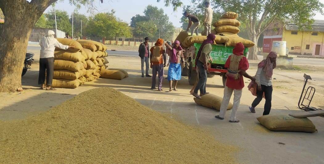 Only 200 quintals of paddy was purchased in twenty days