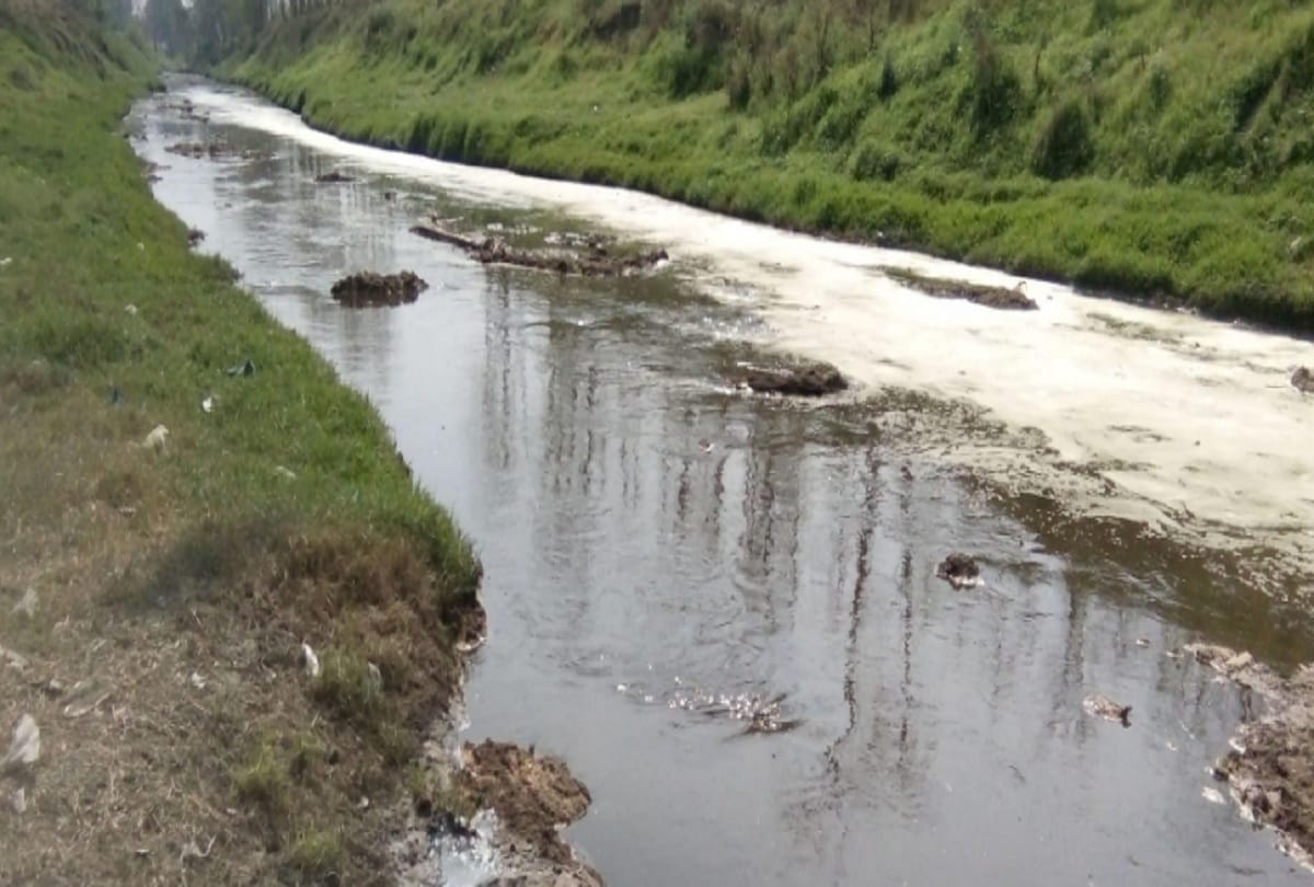Kali river water is not suitable for aquatic organisms in Aligarh
