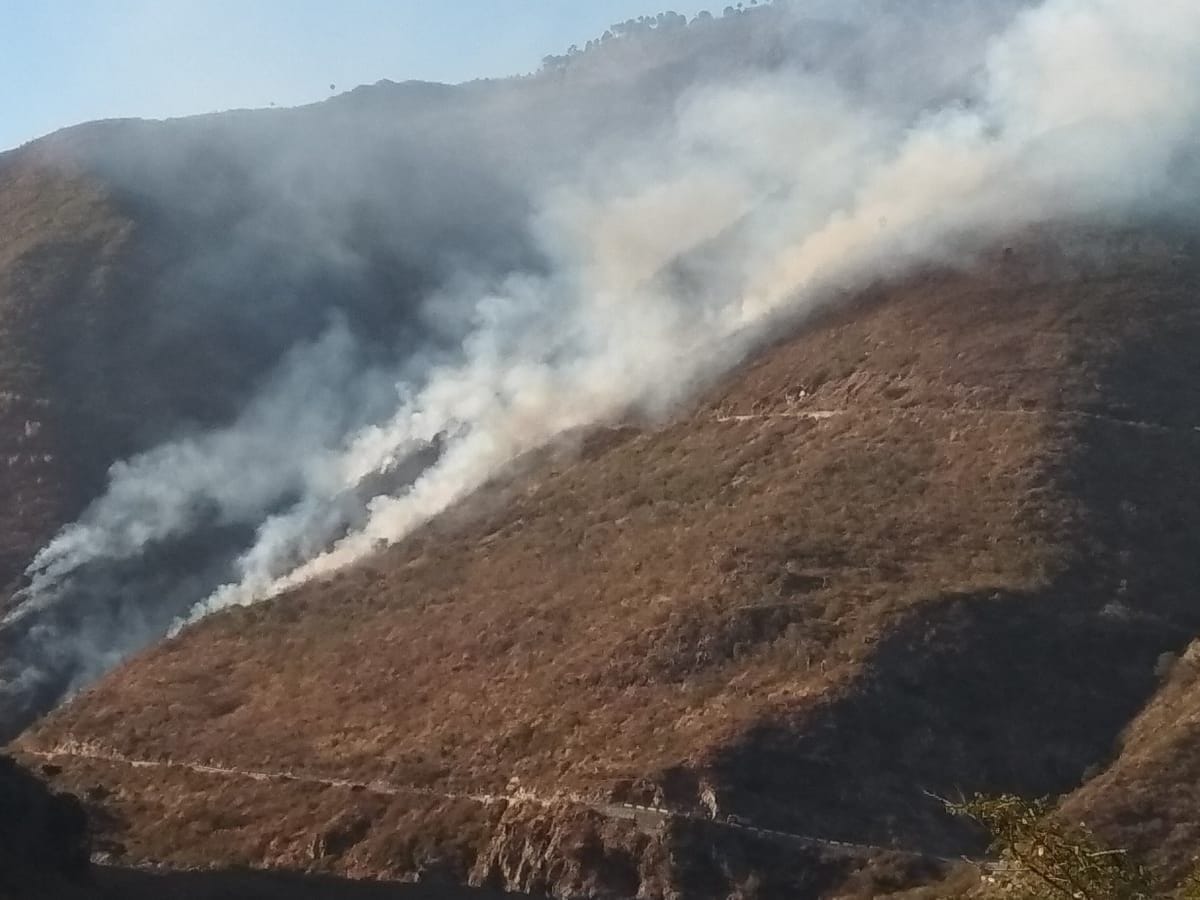 Fire in the hill of chapar