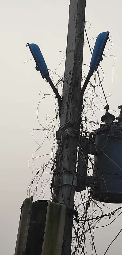 electricity
