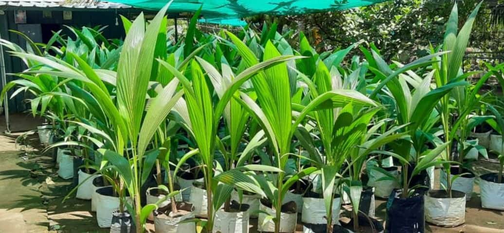 R Madhavan Makes barren land fertile in Tamil Nadu plans to replicate the model worldwide