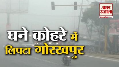 Heavy fog Video in Gorakhpur