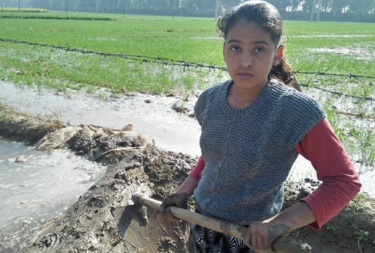 Haryana : Farmer particiapate in kisan andolan, daughter work in field