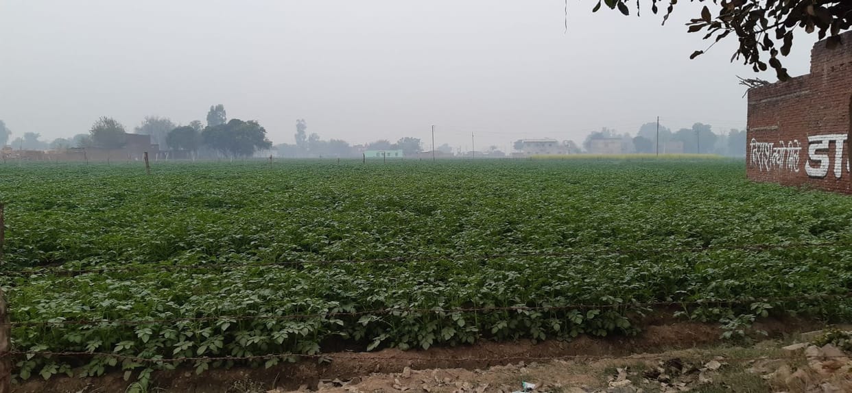 The weather hit, it did not turn sunny, fog throughout the day