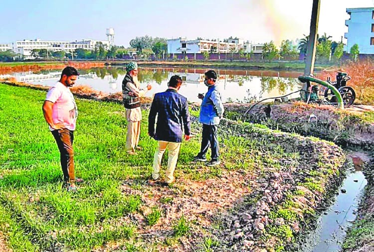 Punjab Farmer became successful after started organic farming 