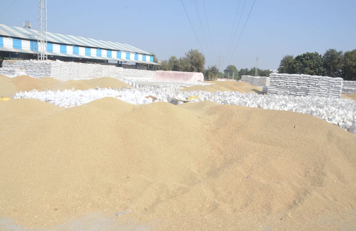 2700 farmers found ineligible after verification of millet registration