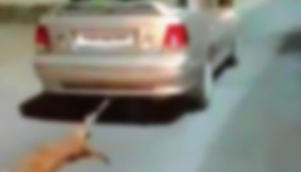 dog tied to car dragged on road driver arrested in kerala