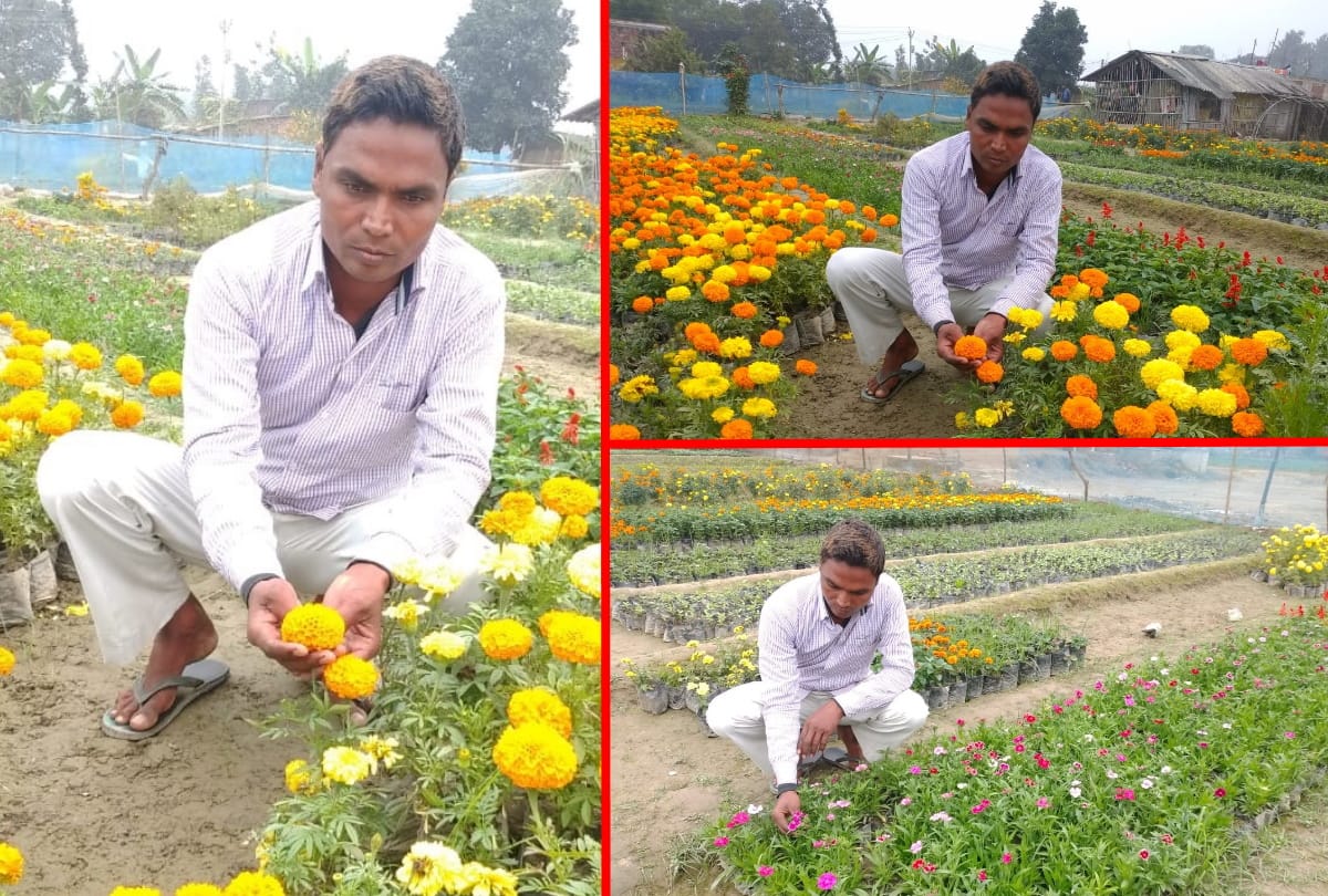 Dinanath income increased by flower nursery in Maharajganj