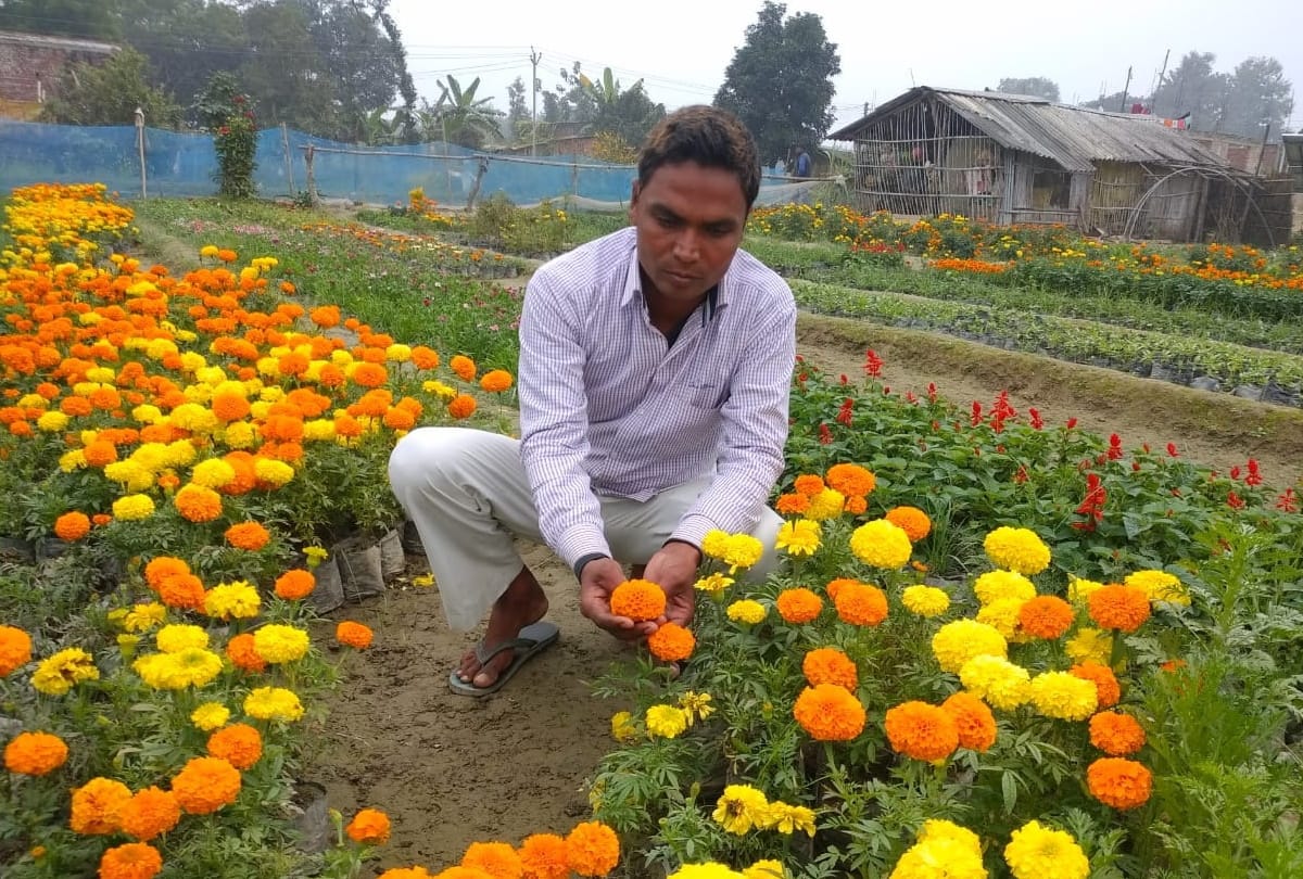 Dinanath income increased by flower nursery in Maharajganj