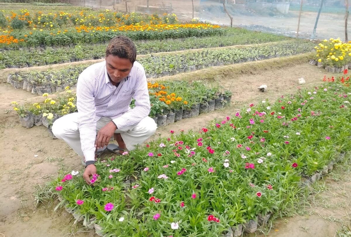 Dinanath income increased by flower nursery in Maharajganj