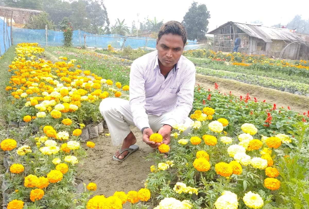 Dinanath income increased by flower nursery in Maharajganj
