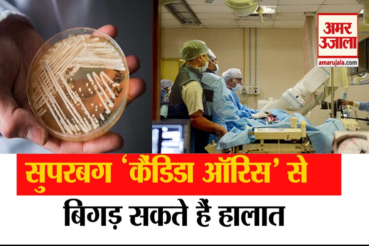 Dangerous superbug found in stray dogs of Delhi