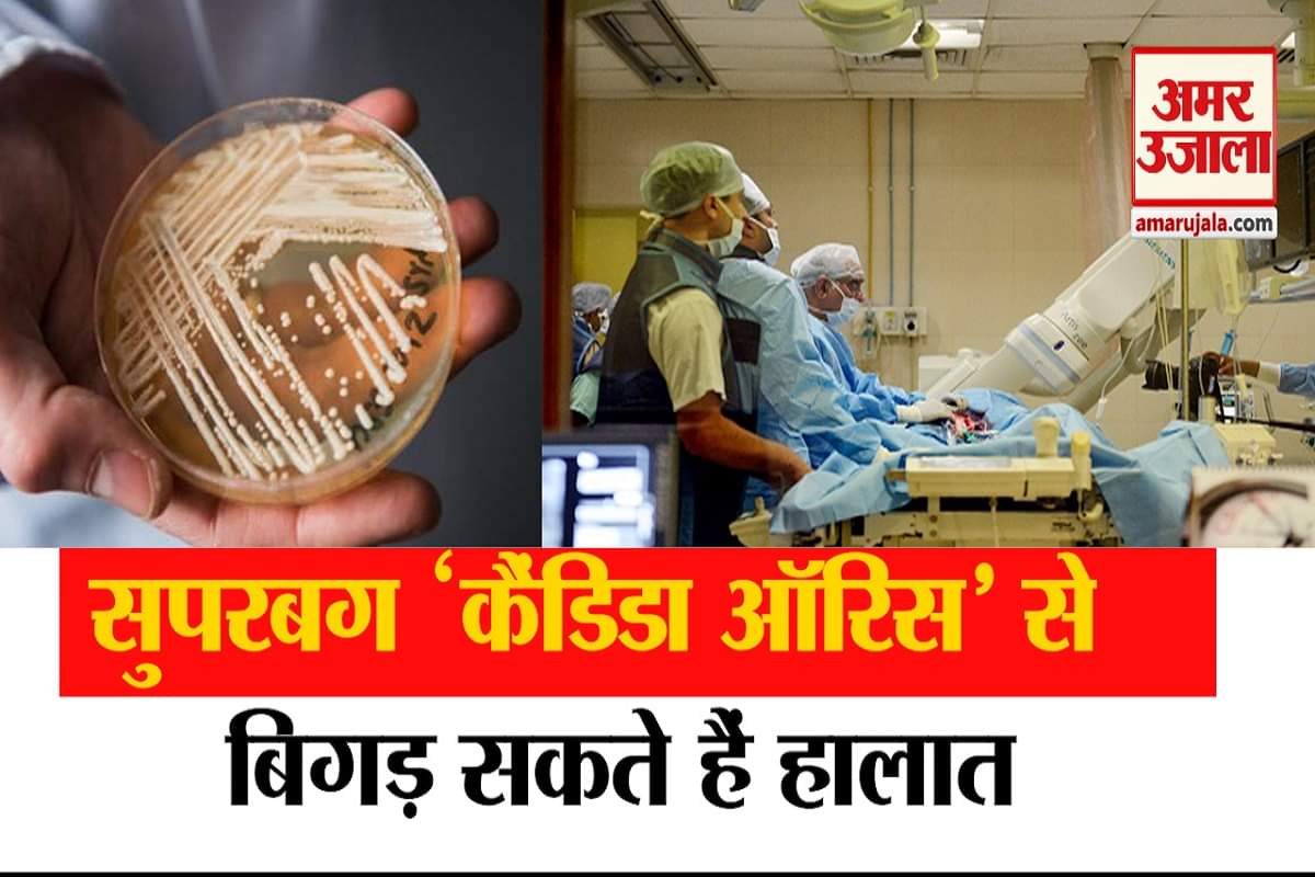 सुपरबग कैंडिडा ऑरिस