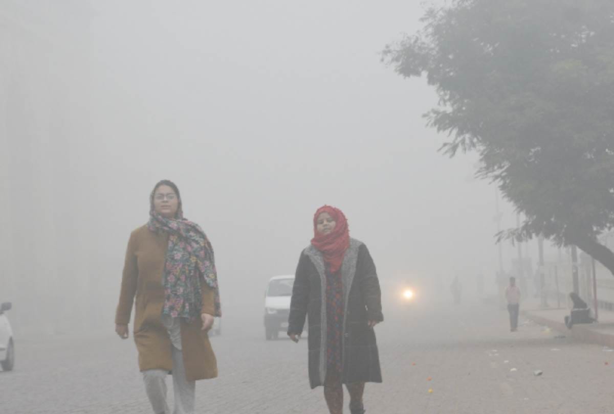 temperature of day fell down, many trains cancelled due to fog