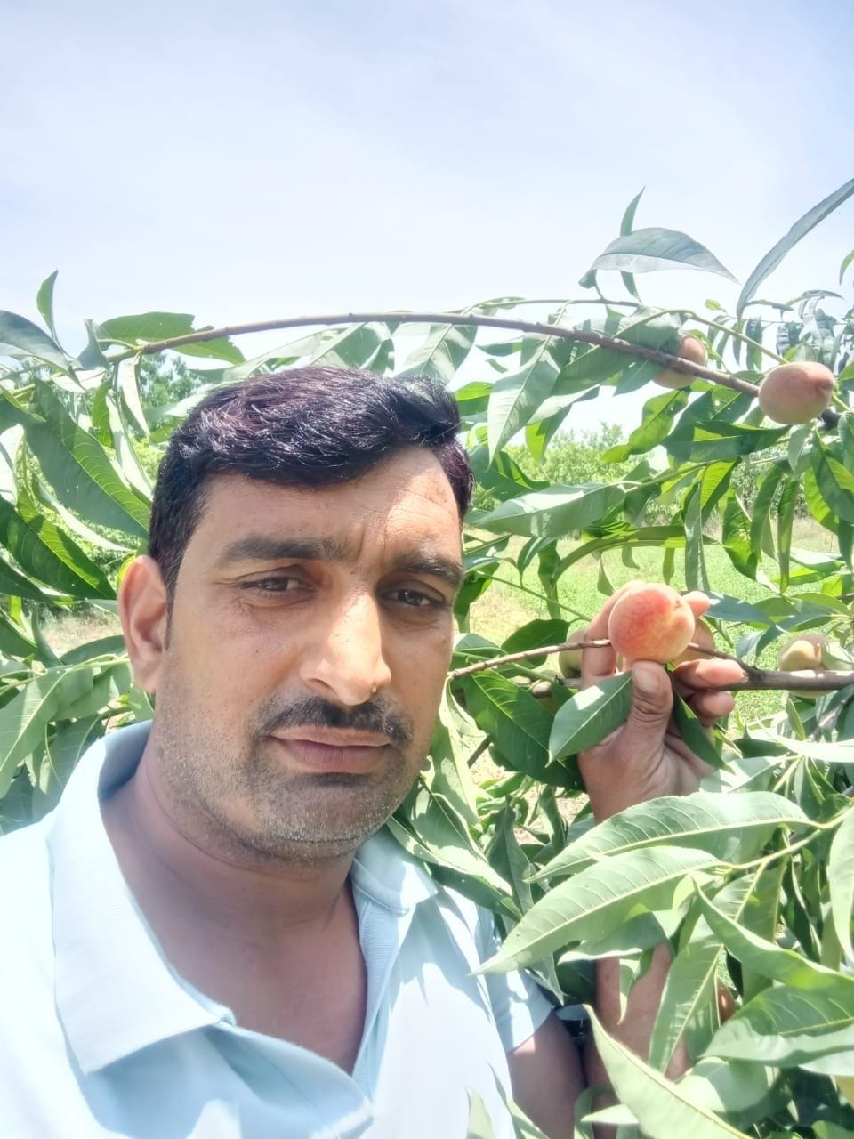 It was difficult to run a house with a private company job, adopted gardening, earning 2 lakhs per acre
