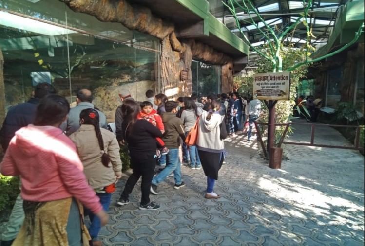 देहरादूनकोरोना संक्रमण के बीच वीकेंड पर चिड़ियाघर में उमड़ी पर्यटकों