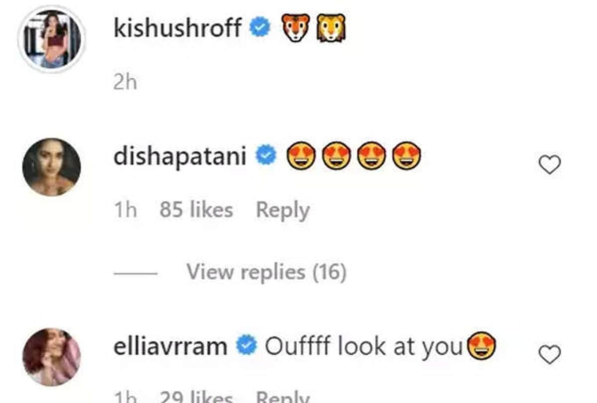 Disha patani reaction on Krishna shroff share photo with tiger shroff