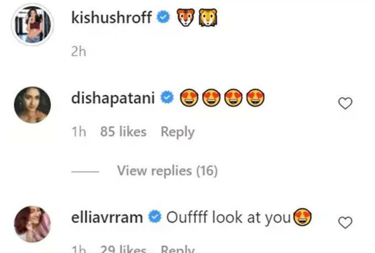 Disha patani reaction on Krishna shroff share photo with tiger shroff