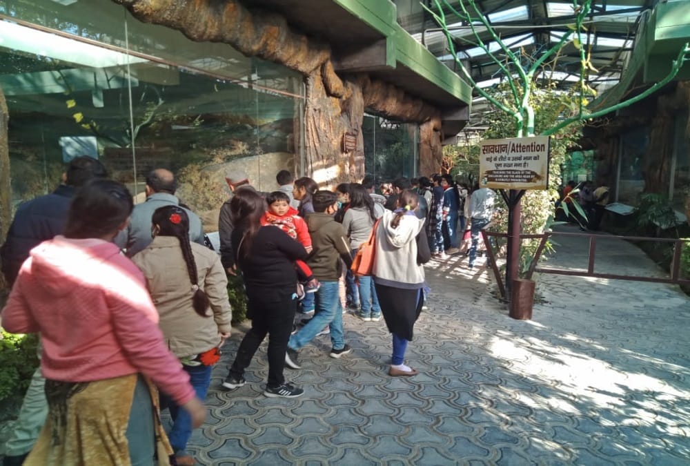 Dehradun News: Tourist Huge Crowd in Dehradun Zoo first time after Lockdown during Coronavirus