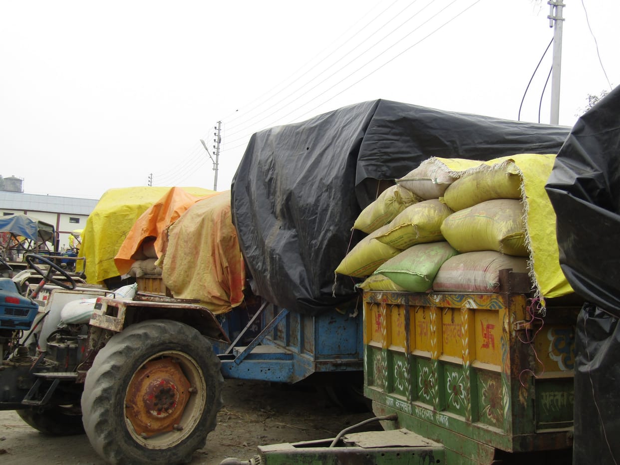 No paddy purchase on holiday, farmers reached purchasing center for guarding