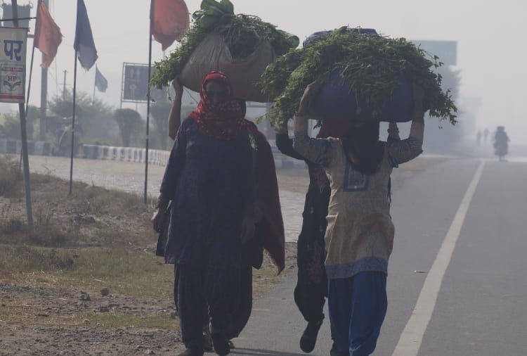Haryana weather update: winds increased Cold in Haryana, day temperature drops by 6.2 degree in Karnal