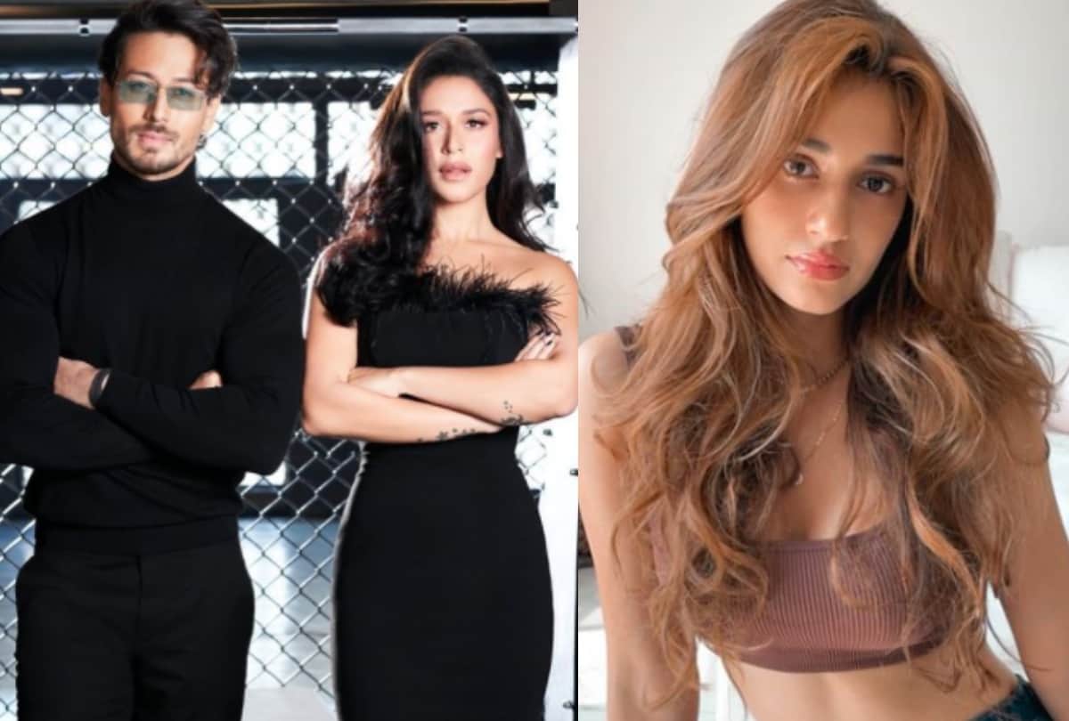 Disha patani reaction on Krishna shroff share photo with tiger shroff