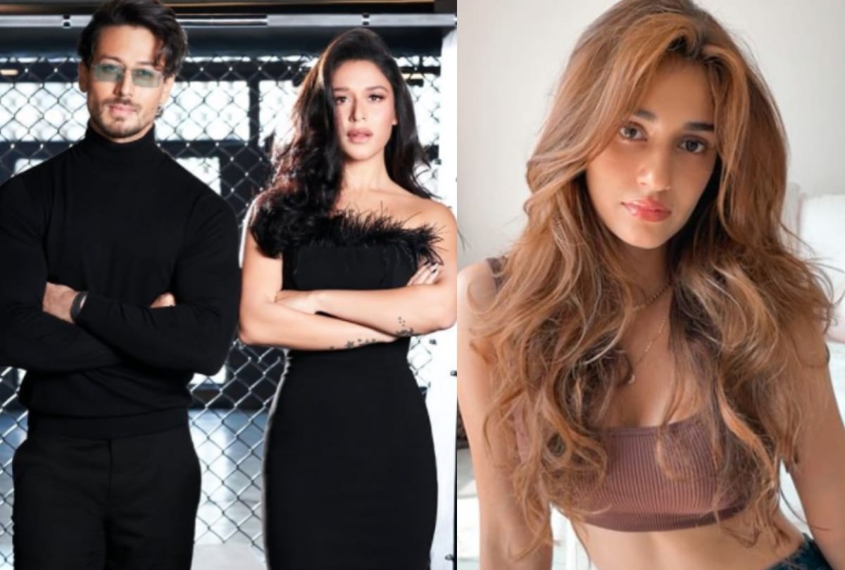 Disha patani reaction on Krishna shroff share photo with tiger shroff