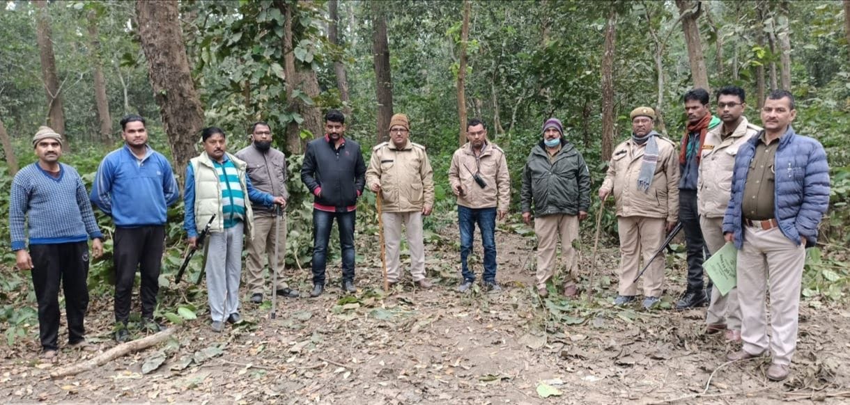 Long Combing At Forest With GPS