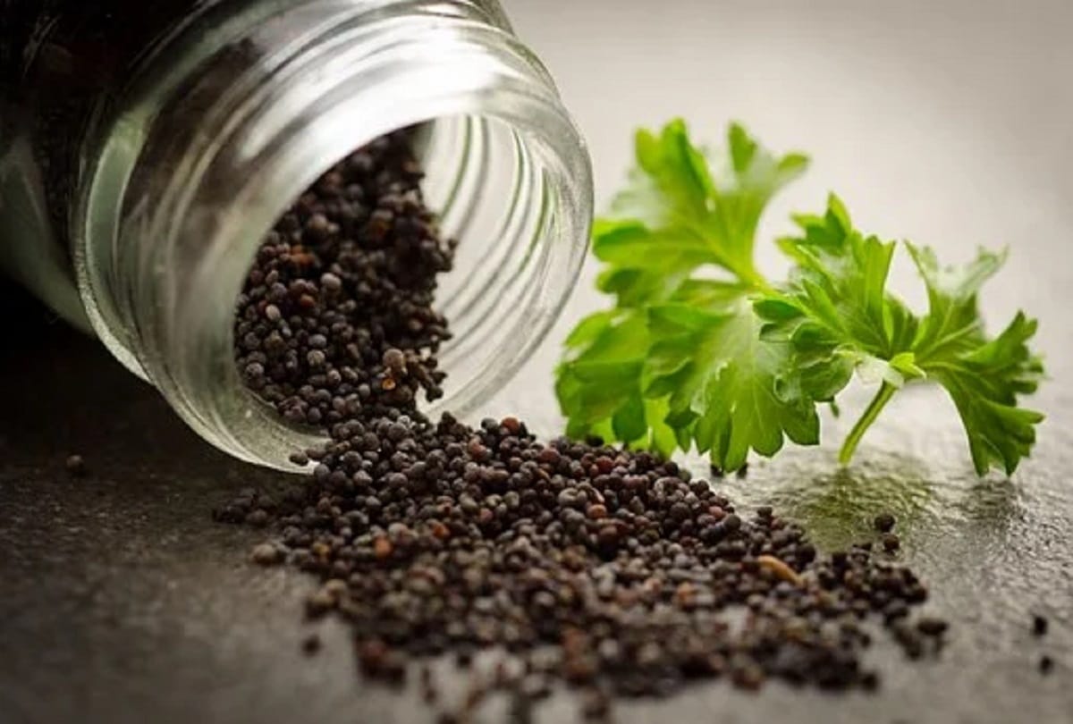 Home Remedies for Lower Back Pain in Hindi
