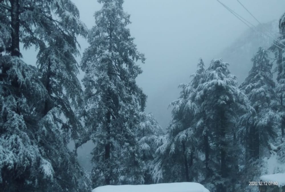 Weather Forecast Today Update in Uttarakhand News: clod increasing in state